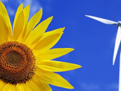 Umwelt Energie Windenergie Sonnenblume