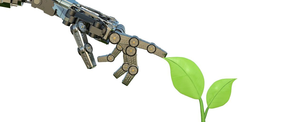 Roboterarm berührt mit dem Zeigefinger eine Pflanze.