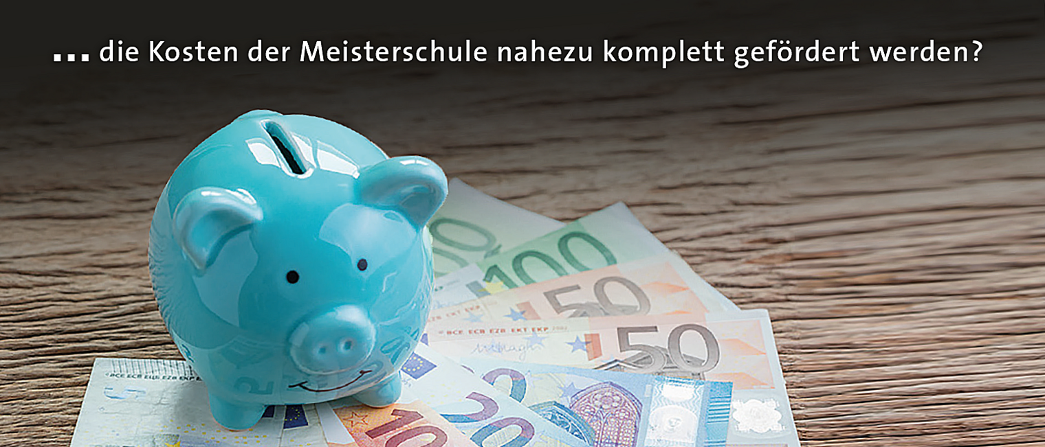 Sparschwein auf Geldscheinen