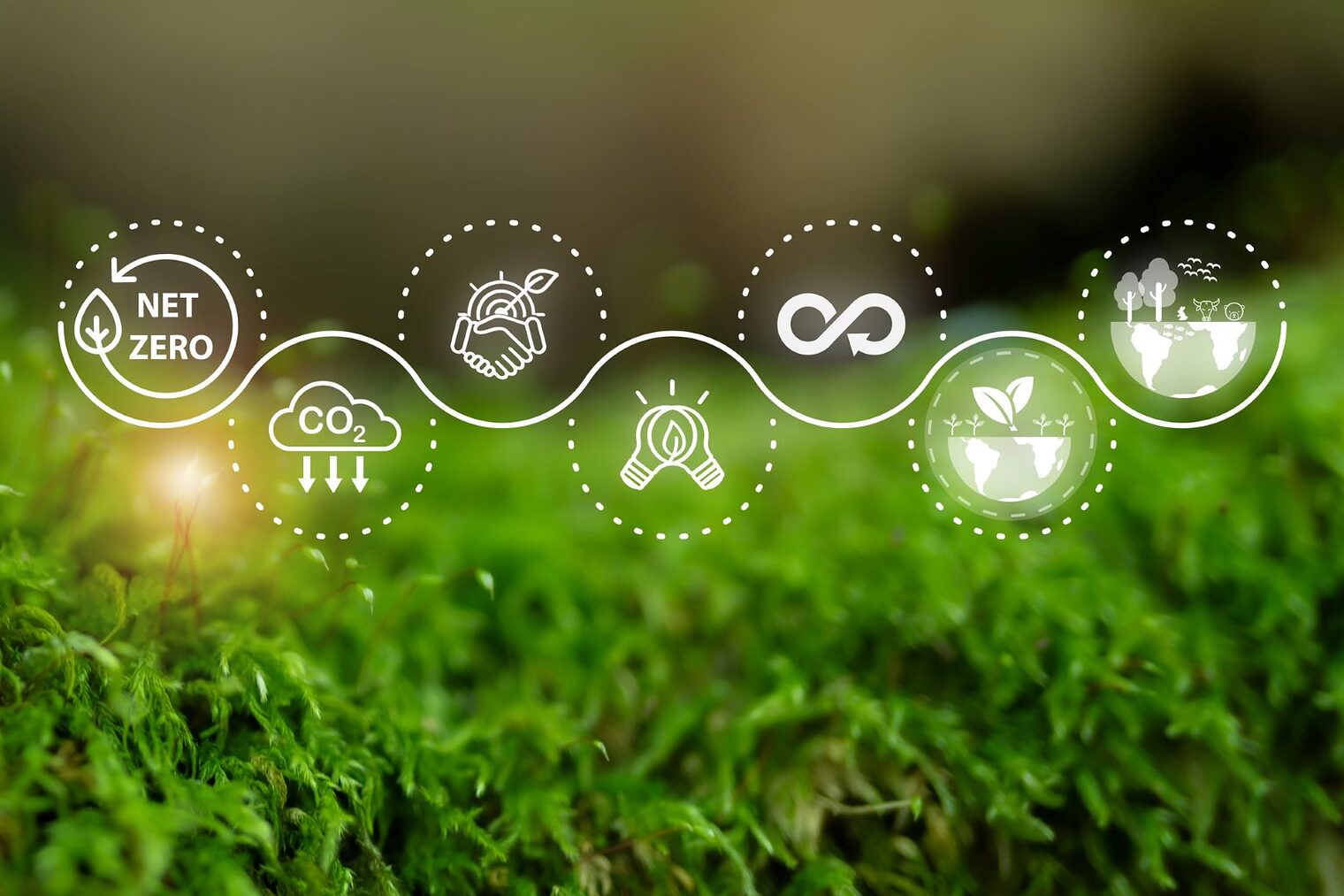 Virtuelle Icons vor einem Waldboden symbolisieren Kohlenstoffreduzierung, saubere Energie und Kreislaufwirtschaft